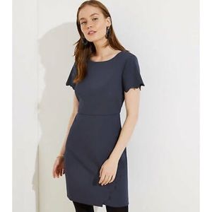 Ann Taylor LOFT Gray Scalloped Short Sleeve Crew Neck Wrap Sheath Dress 6P